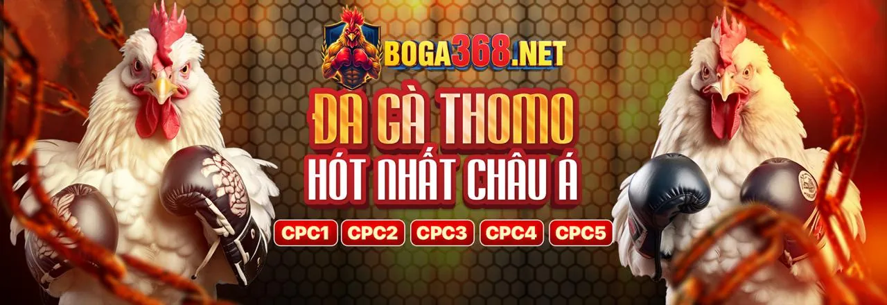 Đá Gà Trực Tuyến EV88 APK - Trải Nghiệm Đỉnh Cao
