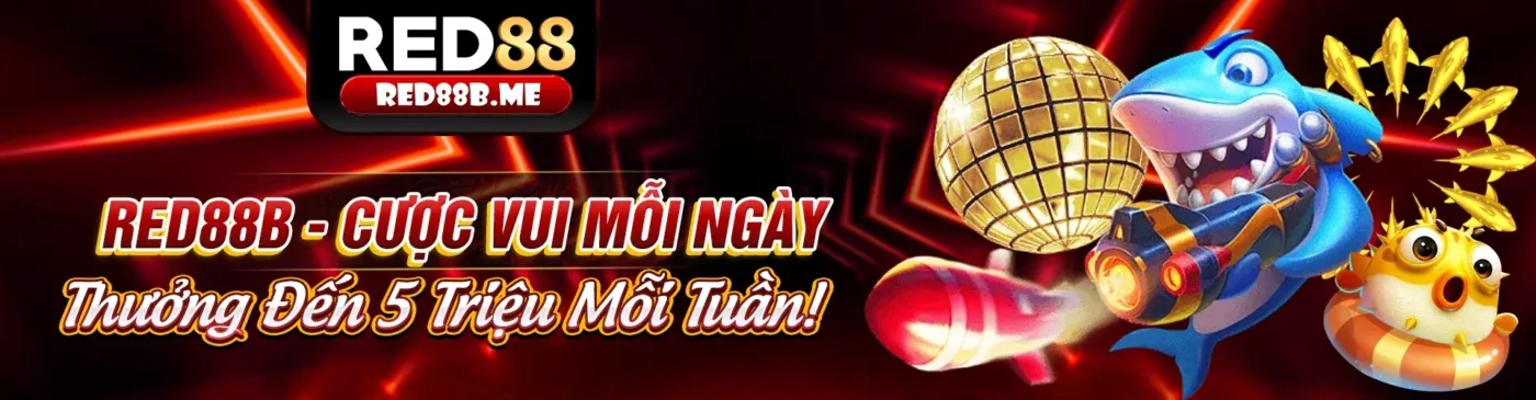 Tin tức ev88 apk mới nhất và cập nhật giải trí trực tuyến